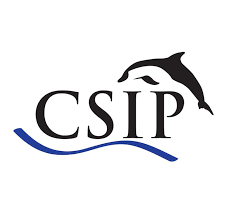 csip logo
